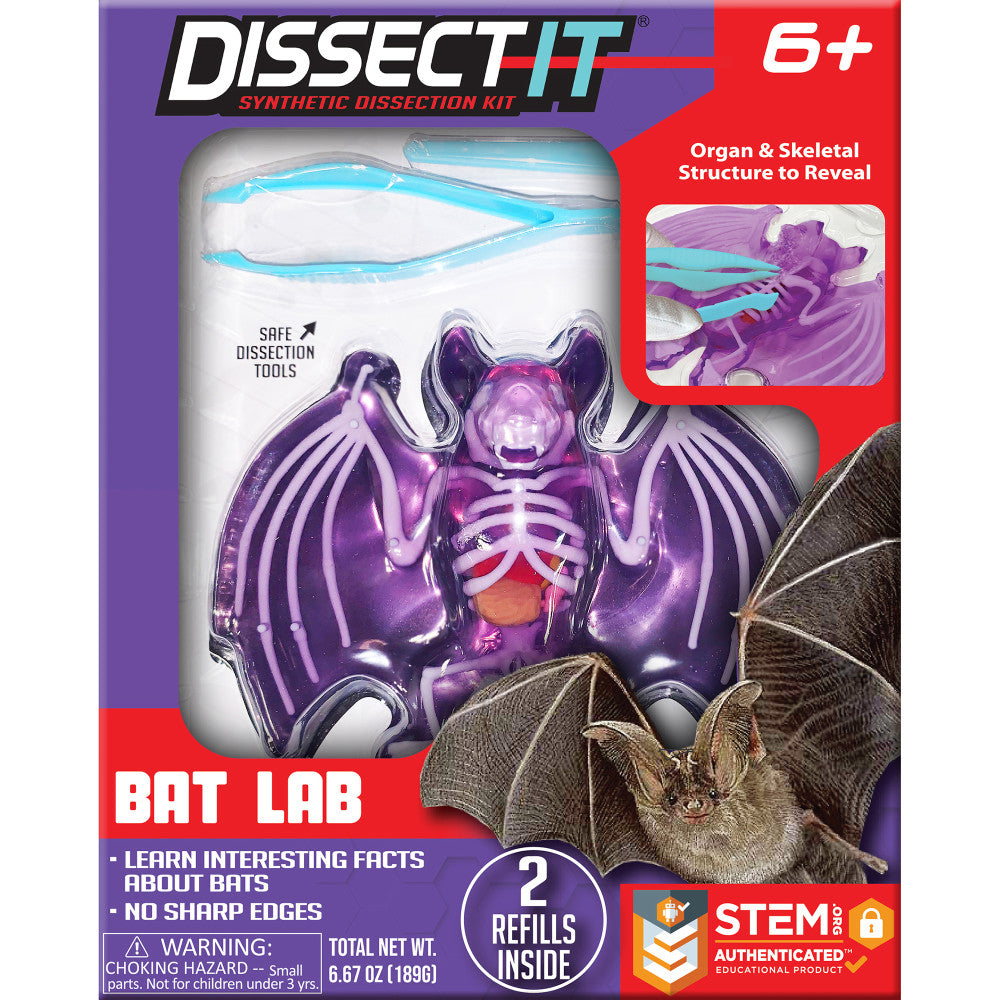 Dissect It Bat Lab - Synthetic Dissection Science Kit for Kids Ages 6+ | STEM Educational Toy with Realistic Anatomy Learning | Perfect for Homeschool, Classroom & Science Fair Projects