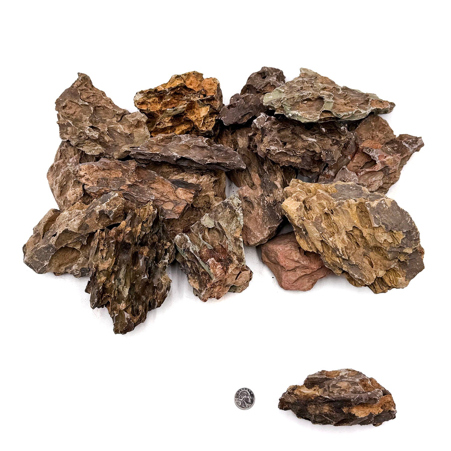 SR Aquaristik Dragon Stone - Natural Aquarium Rock for Fish Tank Decoration | Perfect for Aquascaping, Shrimp Tanks & Reptile Habitats