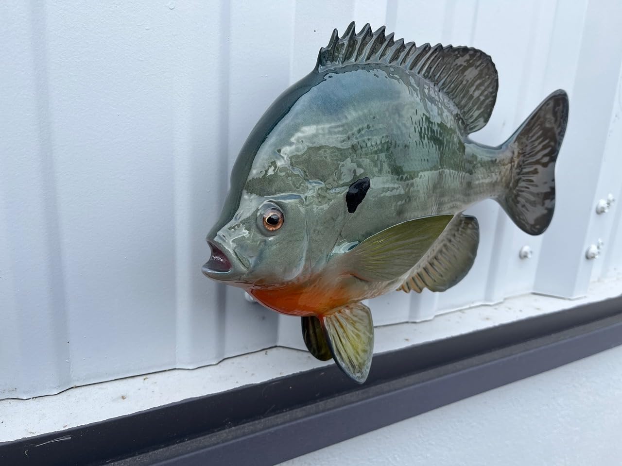 Bluegill Fish Wall Mount Replica - Lifelike Fishing Trophy & Coastal Home Decor for Living Room, Cabin, or Office