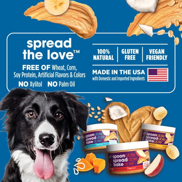 Fruitables Coconut & Oatmeal Dog Treats - Healthy Natural Snacks for Small & Large Dogs - Perfect for Training, Rewards & Digestive Health