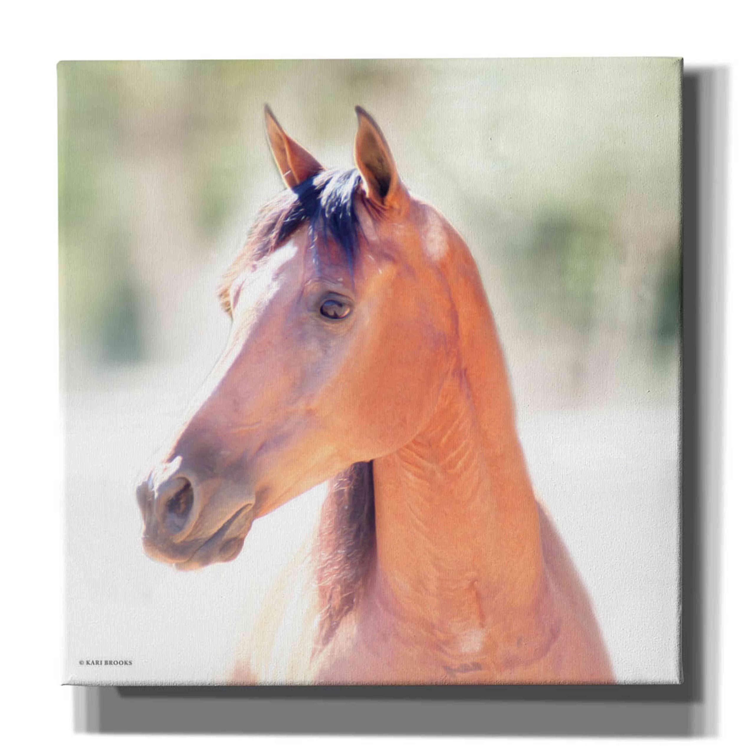 Epic Graffiti 'The Berry' by Kari Brooks - 26x26 Inch Modern Canvas Wall Art for Living Room, Bedroom & Office Decor