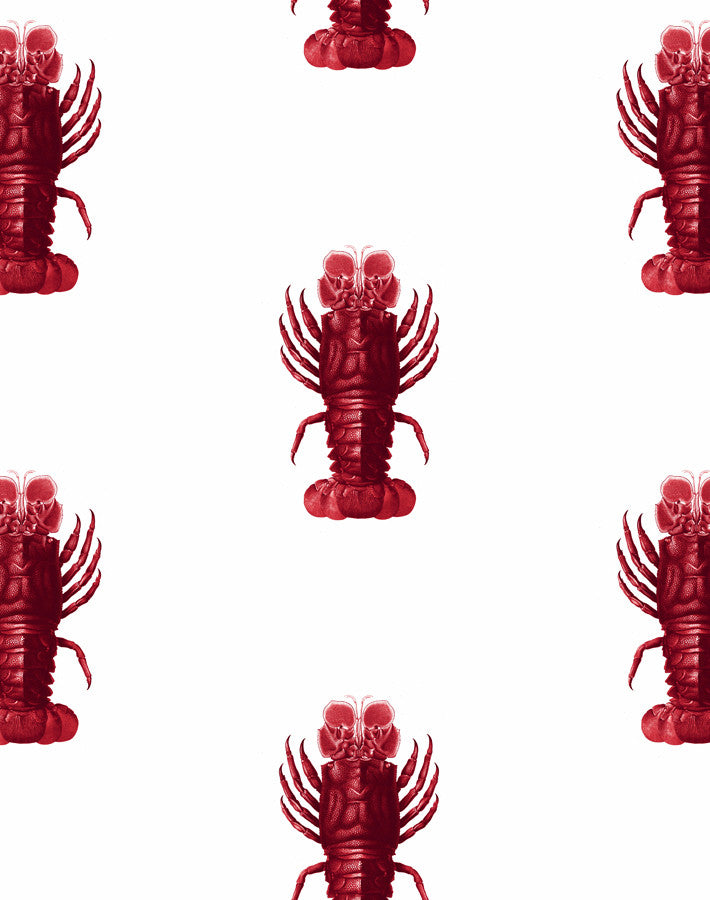 Jack The Crustacean Wallpaper by Wallshoppe - Vibrant Red Crustacean-Themed Wallpaper for Coastal & Nautical Home Decor - Perfect for Beach Houses, Bathrooms & Coastal-Inspired Interiors