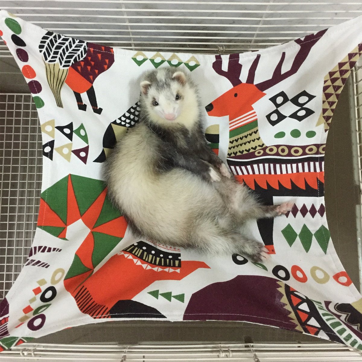 Handmade Ferret Cat Hammock Bed - Soft Canvas Hanging Bed for Small Animals (Kitten, Guinea Pig, Rabbit, Rat) - Cozy Sleep & Rest Mat for Cage - Perfect for Napping, Lounging & Pet Comfort