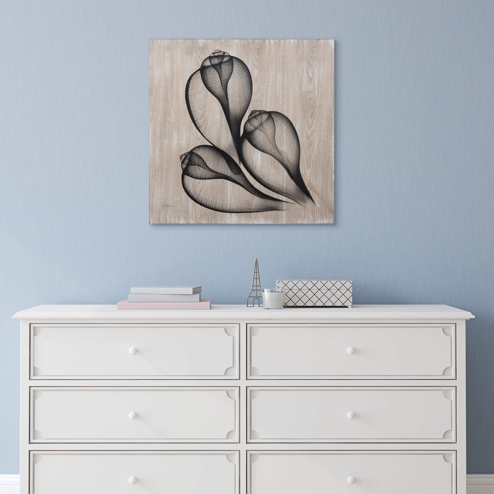 Coastal Serenity II Wall Art - X-Ray Photo Giclee Print on Hand-Finished Ash Wood - 24x24 Inches Ready to Hang - Modern Beach Decor for Living Room, Bedroom & Office - Perfect for Coastal, Boho & Farmhouse Style Homes