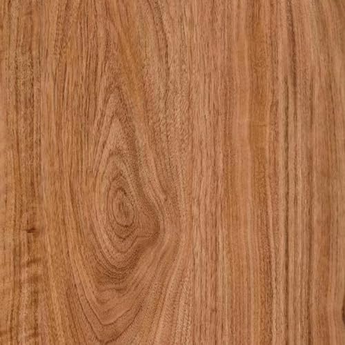 Dark Wood