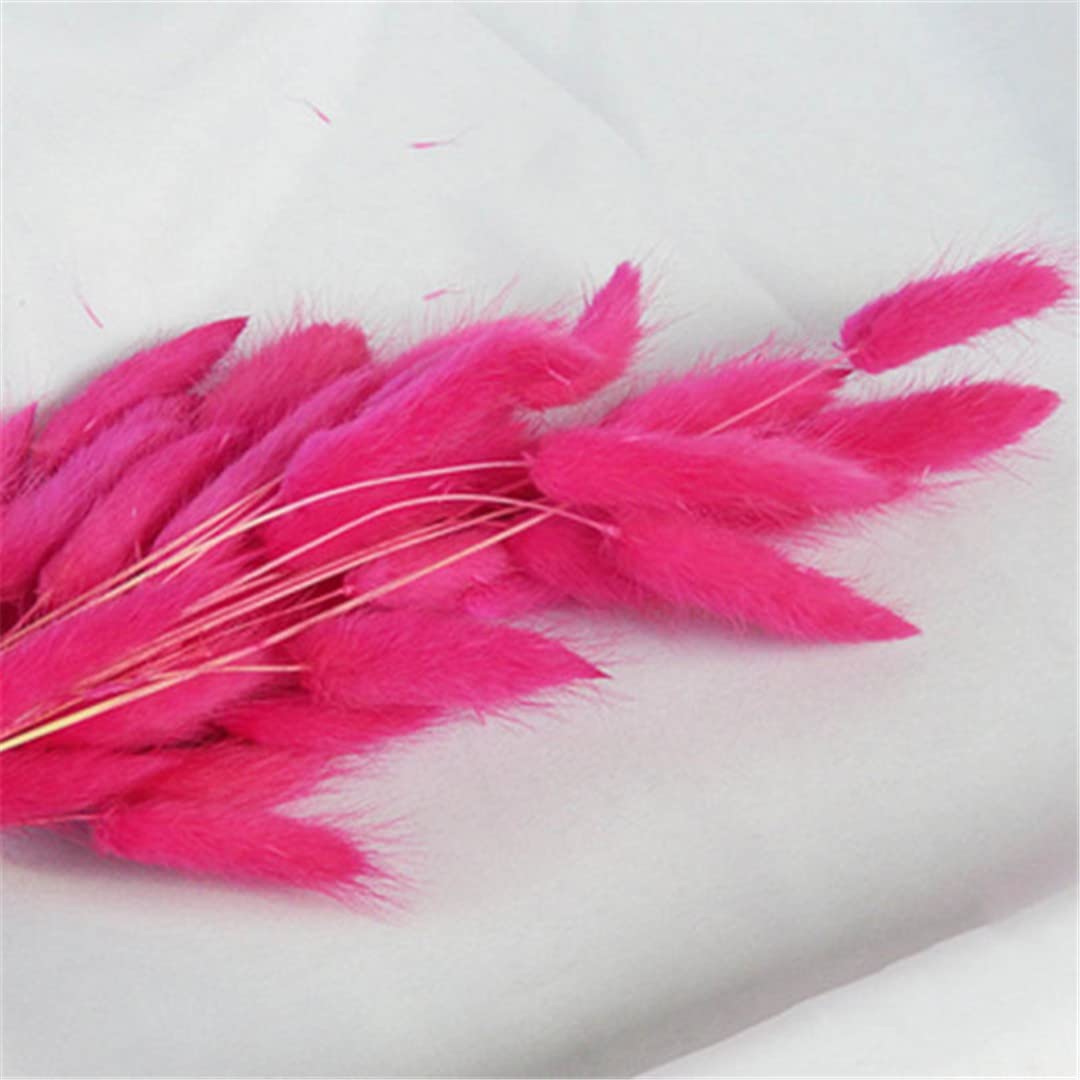 60/30Pcs Natural Dried Pampas Grass Bouquet - Real Rabbit Tail Flowers for Wedding Decor, Easter Home Decorations, Boho Chic Room & Table Centerpiece (15-30 Stems)