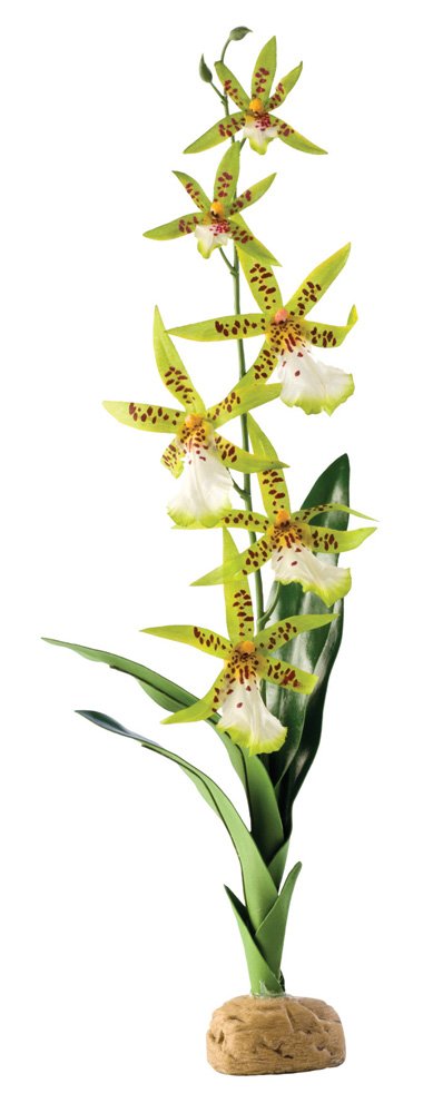 Exo Terra Artificial Spider Orchid Terrarium Plant - Realistic Fake Orchid for Reptile Habitats & Vivarium Decor - Perfect for Geckos, Frogs, and Tropical Terrariums