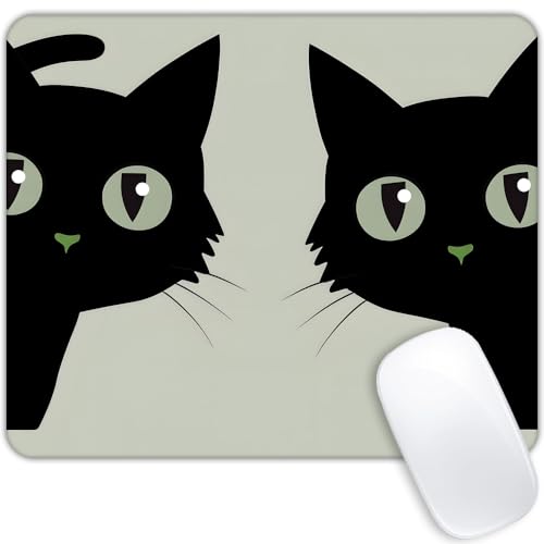 Cat（1）