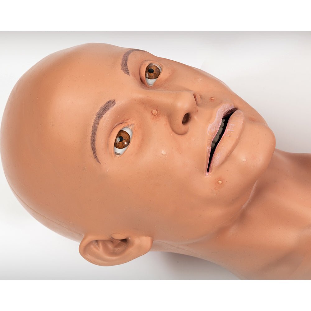 DANi Patient Skills Trainer - Medical Simulation Manikin for Nursing & Healthcare Training | Realistic CPR Practice & Clinical Scenarios