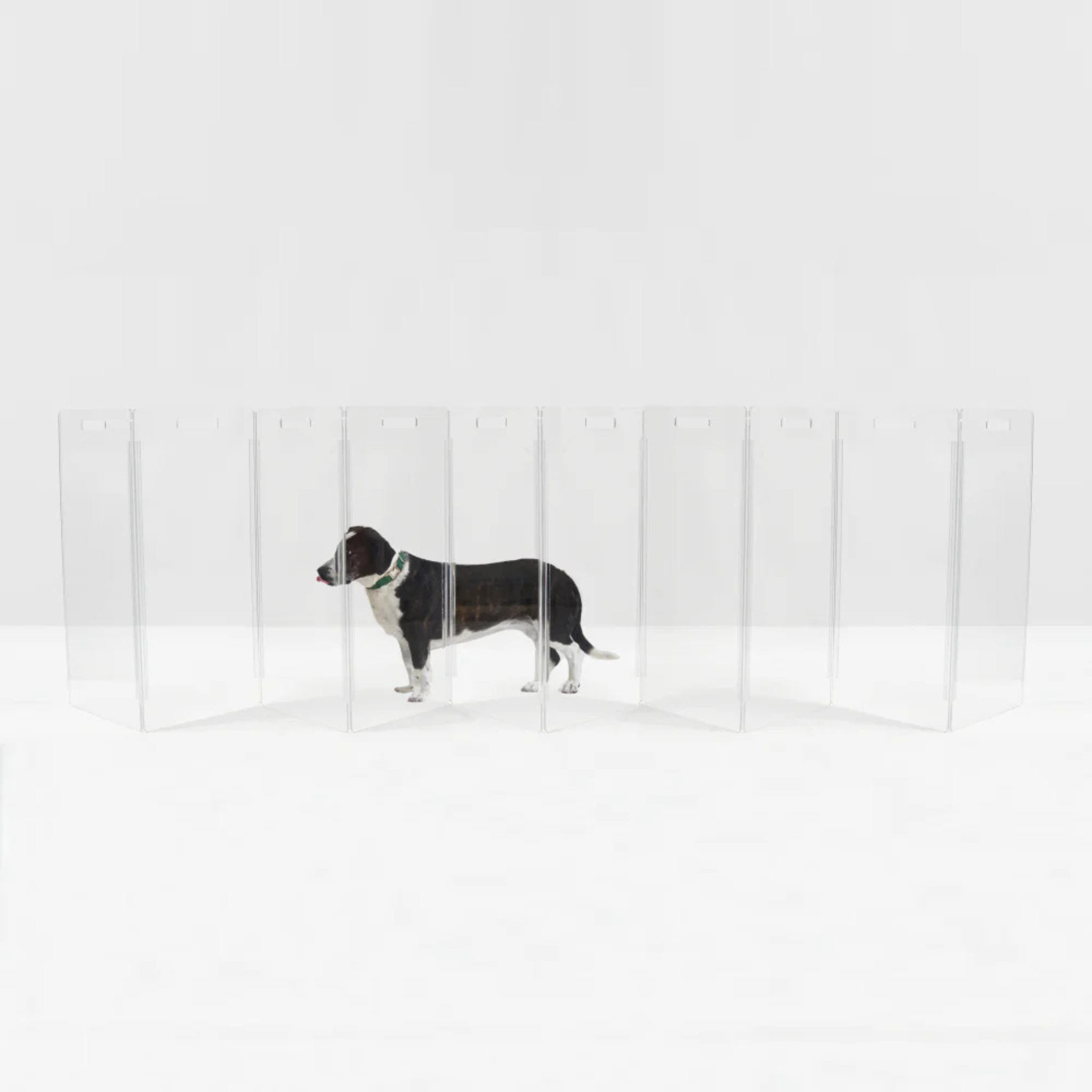 Clear Freestanding Zig Zag Panel Pet Gate - Expandable Safety Barrier for Dogs & Cats - Perfect for Doorways, Hallways & Stairs - Home & Office Use