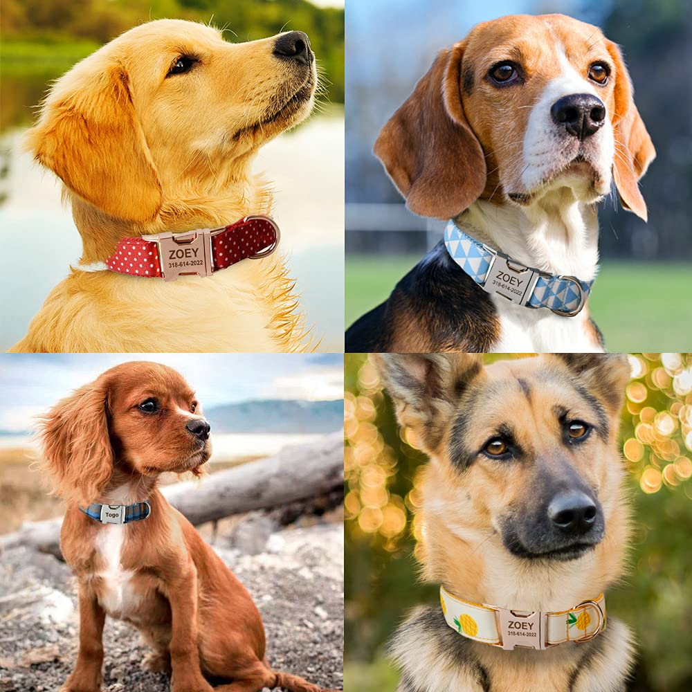 Custom Personalized Dog Collar with Name & Phone Number - for Small Medium Large Pets - Perfect for Walks & ID Safety