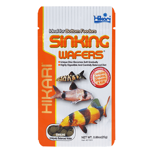 Hikari Tropical Sinking Wafers for Fish Food - High Protein Algae-Based Diet for Bottom Feeders - Ideal for Tropical Fish, Goldfish & Aquatic Pets - Perfect for Aquarium, Pond & Fish Tank Feeding