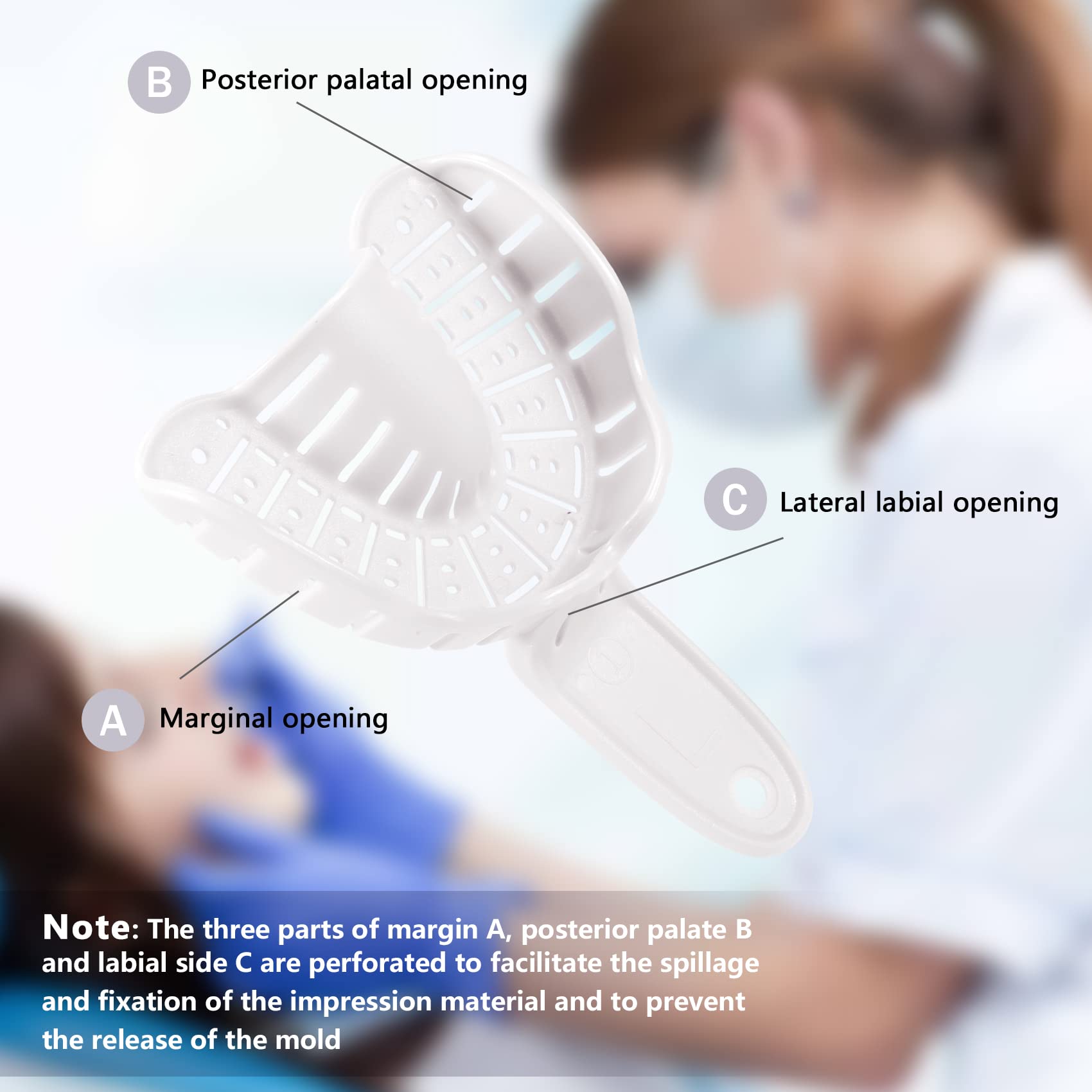 **Annhua 3 Sizes Disposable Dental Impression Trays for Adults & Kids – 6-Pack Perforated Upper & Lower Teeth Molds (White) – Perfect for Dentists, Orthodontics & Dental Labs**