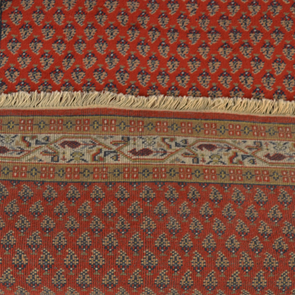 Hand Knotted Persian Rug - Premium Wool Oriental Carpet for Living Room, Bedroom & Dining Area - Traditional Persian Design for Home Decor & Luxury Interior
