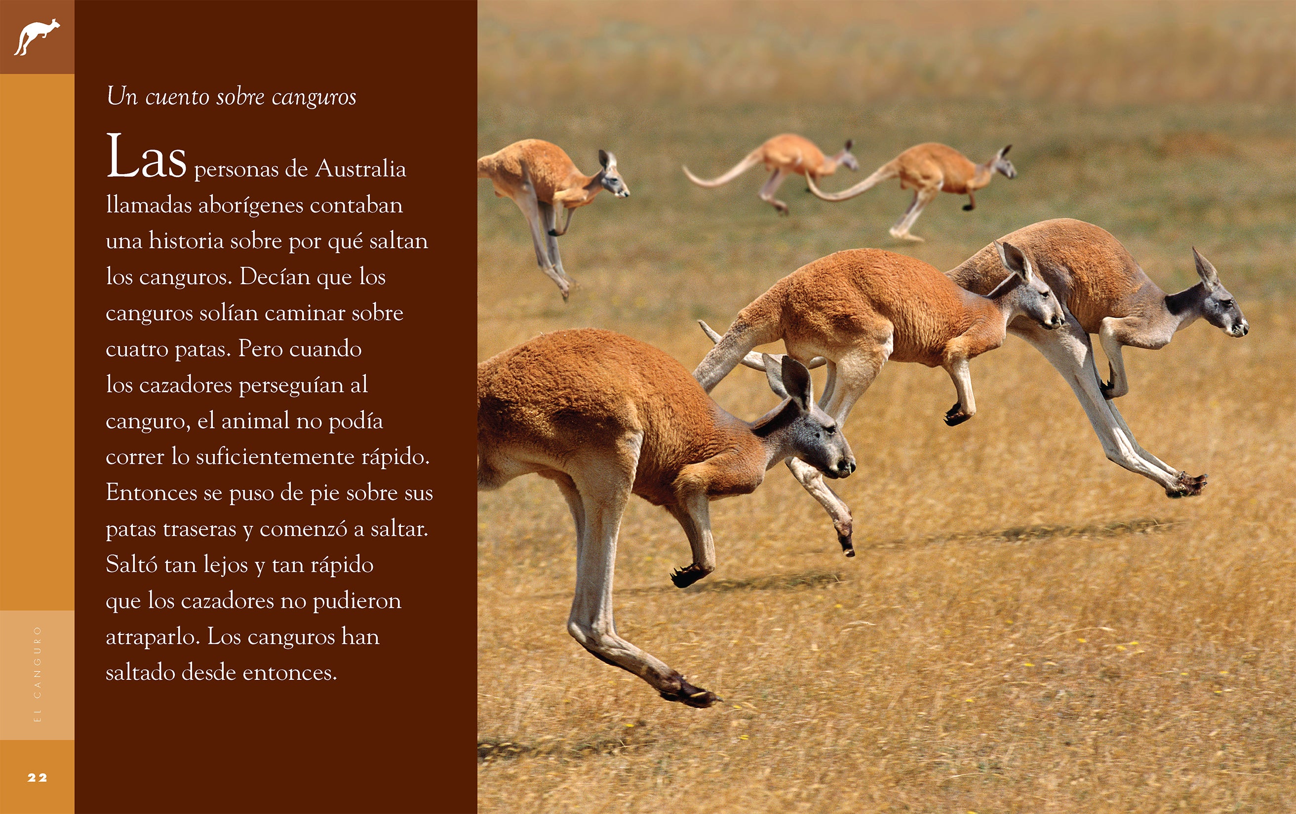 El Canguro 9781640264670 - Kangaroo Book for Kids - Learn About Kangaroos - Perfect for School Projects & Animal Lovers