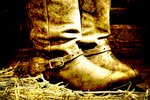 Boots on Straw in Barn