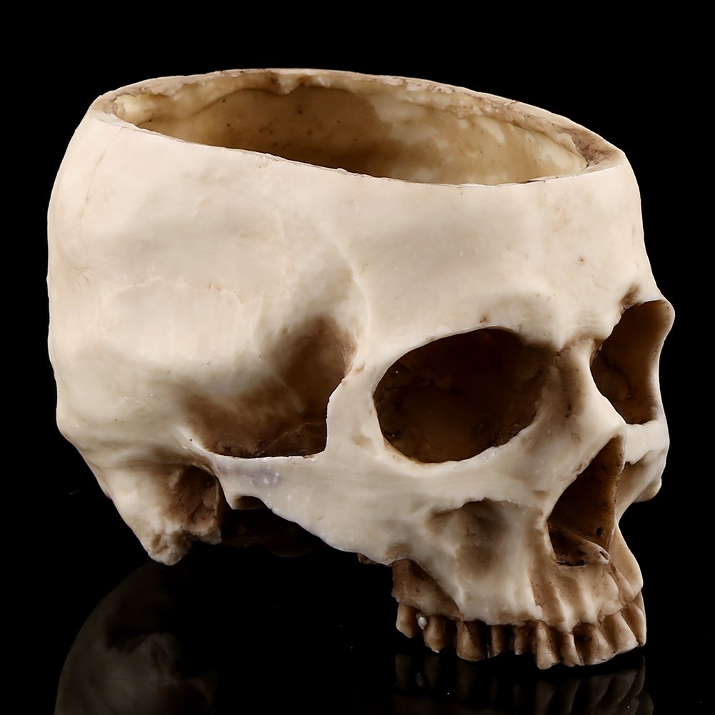 Walfront Resin Skull Planter - Halloween Flower Pot, Candy Bowl & Home Decor for Office Desk, Party Scene, and Indoor Plant Display