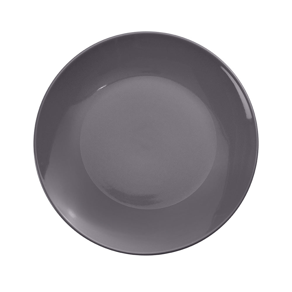 Pebble Stoneware Dinner Plates Set of 4 - 10.6 Inch Round Ceramic Plates for Everyday Dining, Restaurant & Party Use