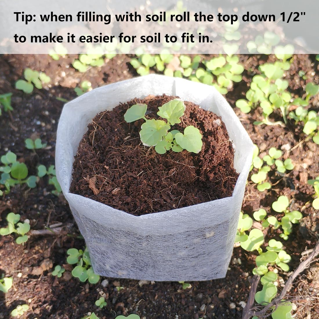 Belit 200 Pcs Non-Woven Fabric Seedling Pots - 5.6