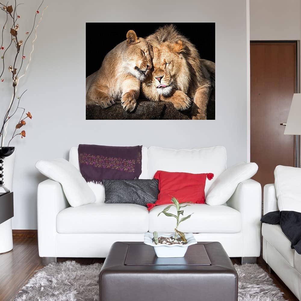 Lion Love Fine Art Canvas Wall Decor by Artist Belle Maison - 43x32 Inch Ready to Hang Painting for Living Room, Bedroom, Office - Perfect for Home Decor, Housewarming Gifts & Interior Design