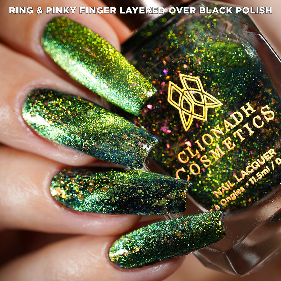Conocybe Nail Lacquer - Long Lasting Vegan Nail Polish Set - 12 Colors for Manicure & Pedicure - Perfect for Parties, Weddings & Daily Wear
