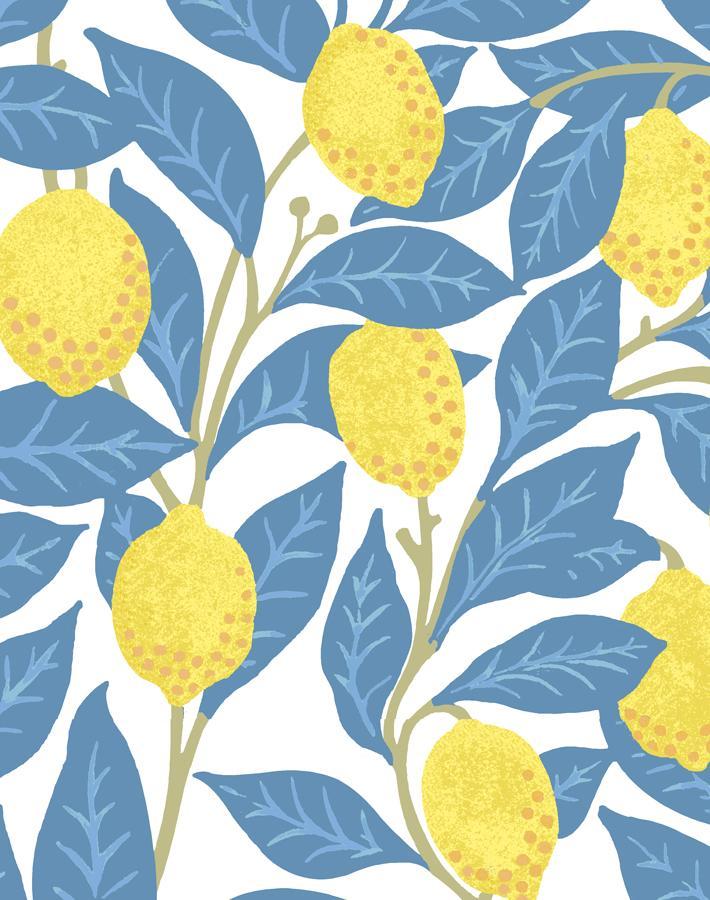 Nathan Turner Blue Lemons Wallpaper - Peel & Stick Removable Wallpaper for Kitchen, Bathroom, and Nursery Decor