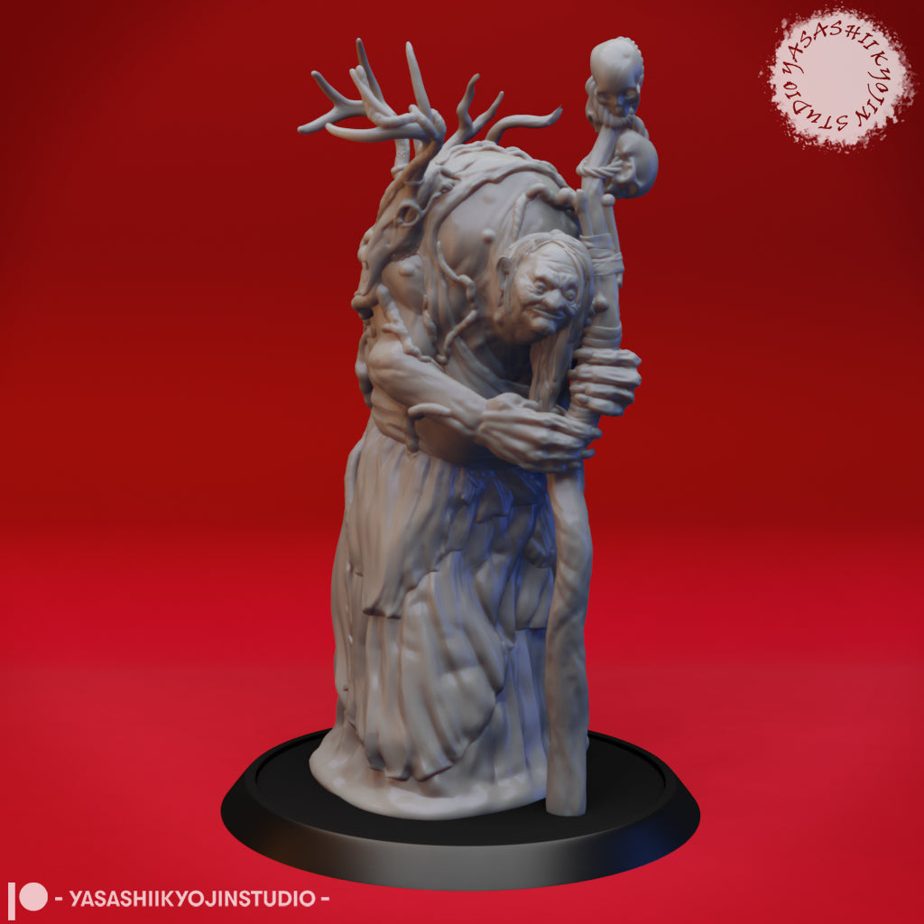 Annis Hag Tabletop Miniature - D&D Fantasy RPG Game Character for Dungeons & Dragons, Pathfinder & Wargaming - Perfect for Painting, Collecting & Roleplaying Adventures