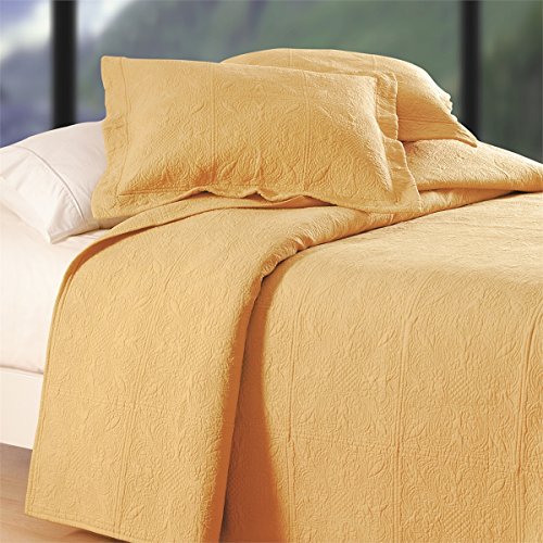 Cornsilk