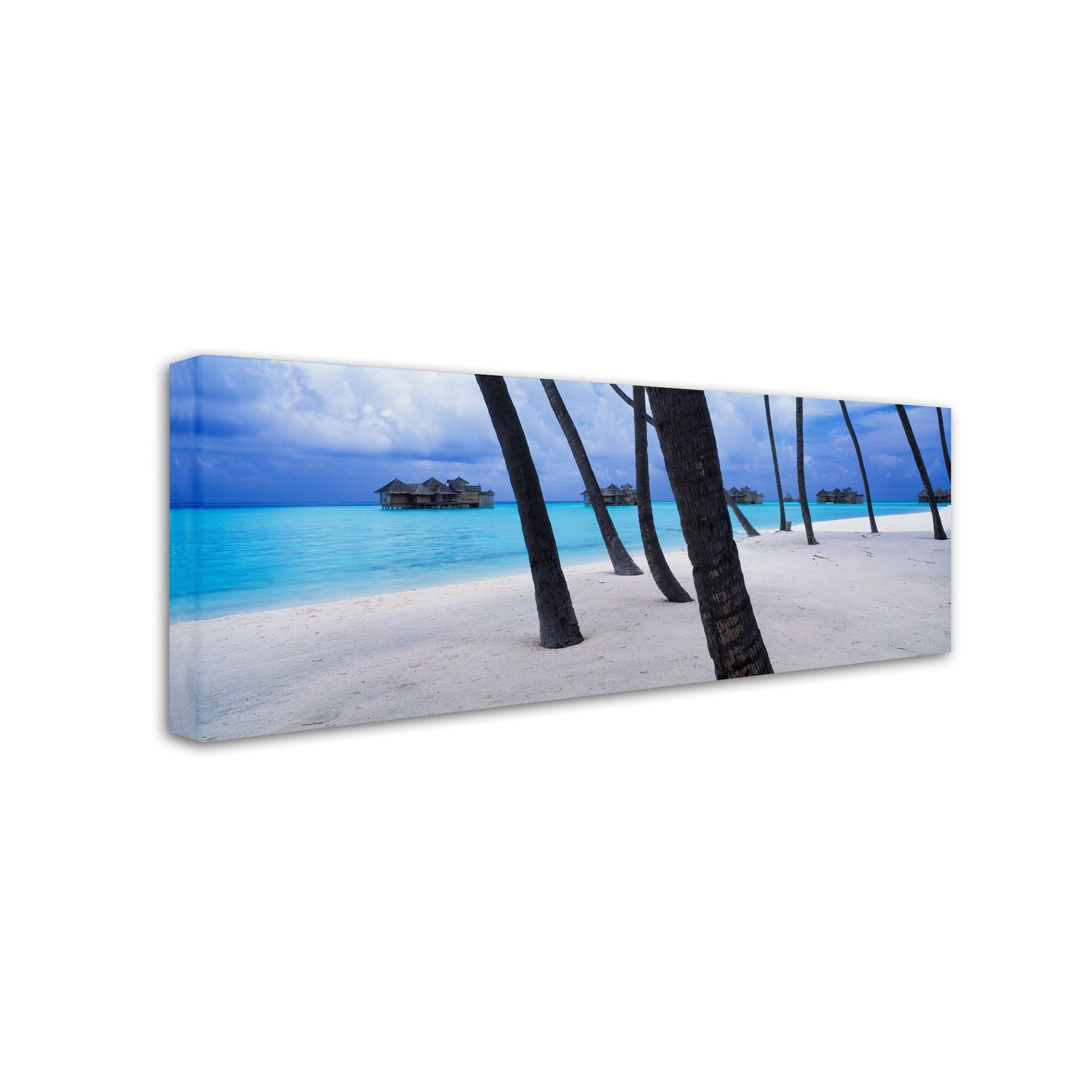 David Evans Beach Palms-Maldives Wall Art Print - 16x47 Inch Tropical Coastal Decor for Living Room, Bedroom & Office - Trademark Fine Art