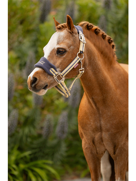 Premium Mini LeMieux Vogue Fleece Headcollar & Lead Rope Set for Horses - Soft & Comfortable Equestrian Training Gear for Show Jumping, Dressage & Trail Riding