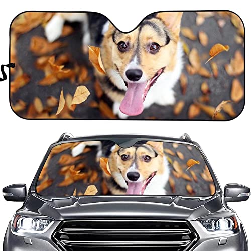 Corgi