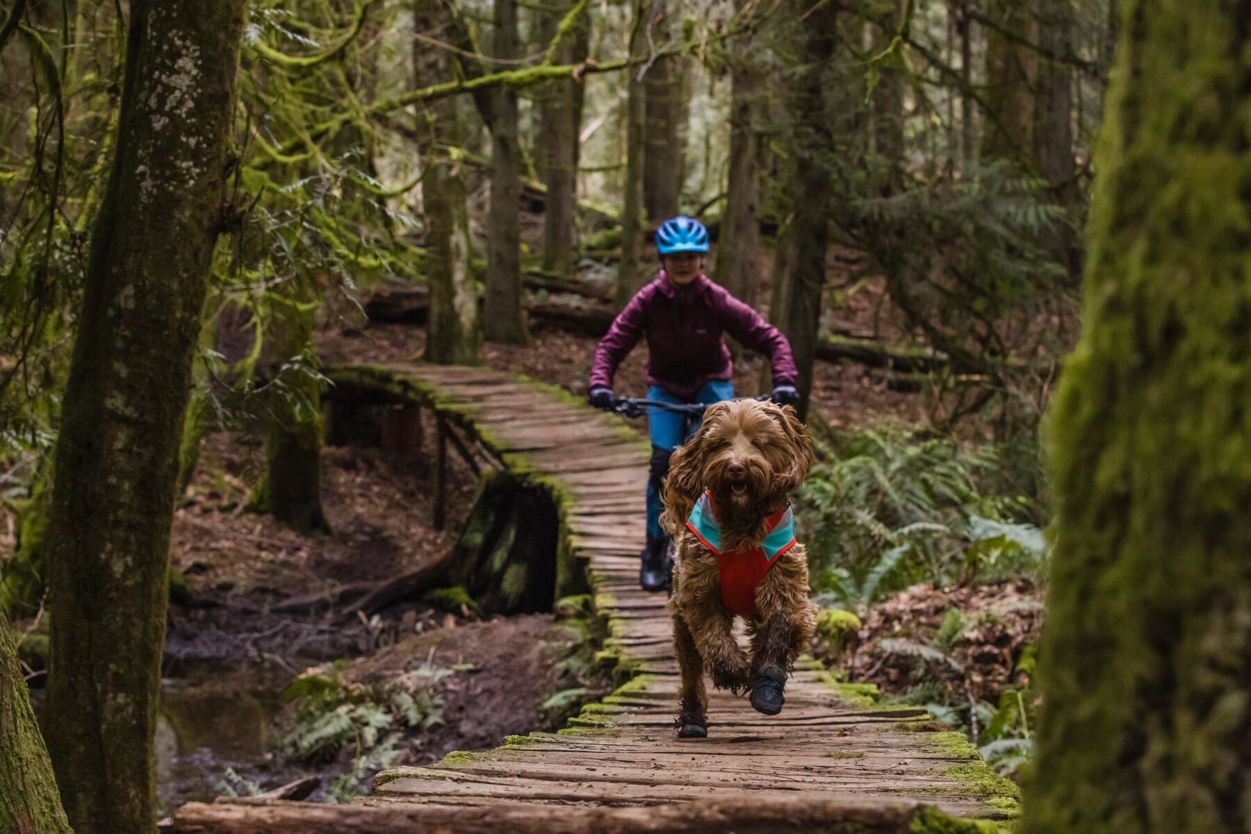 Lumenglow® Reflective Dog Safety Vest - Blaze Orange for High Visibility | Ruffwear Style | Perfect for Night Walks, Jogging & Outdoor Adventures