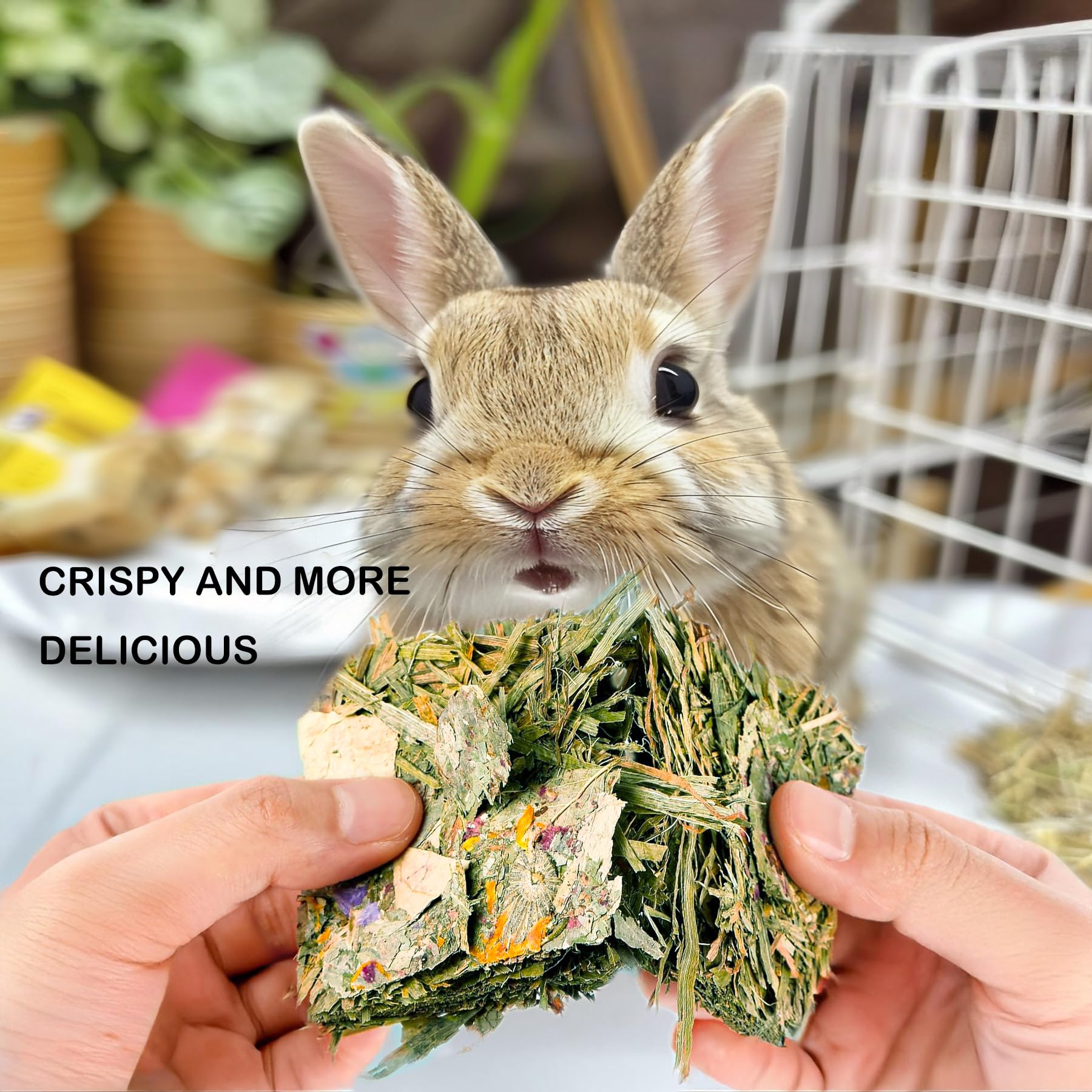 10 Pack Natural Timothy Hay Bunny Chew Toys with Herbal Flowers - Small Animal Teeth Care Treats for Rabbits, Guinea Pigs, Hamsters & Chinchillas - Perfect for Cage Enrichment and Dental Health