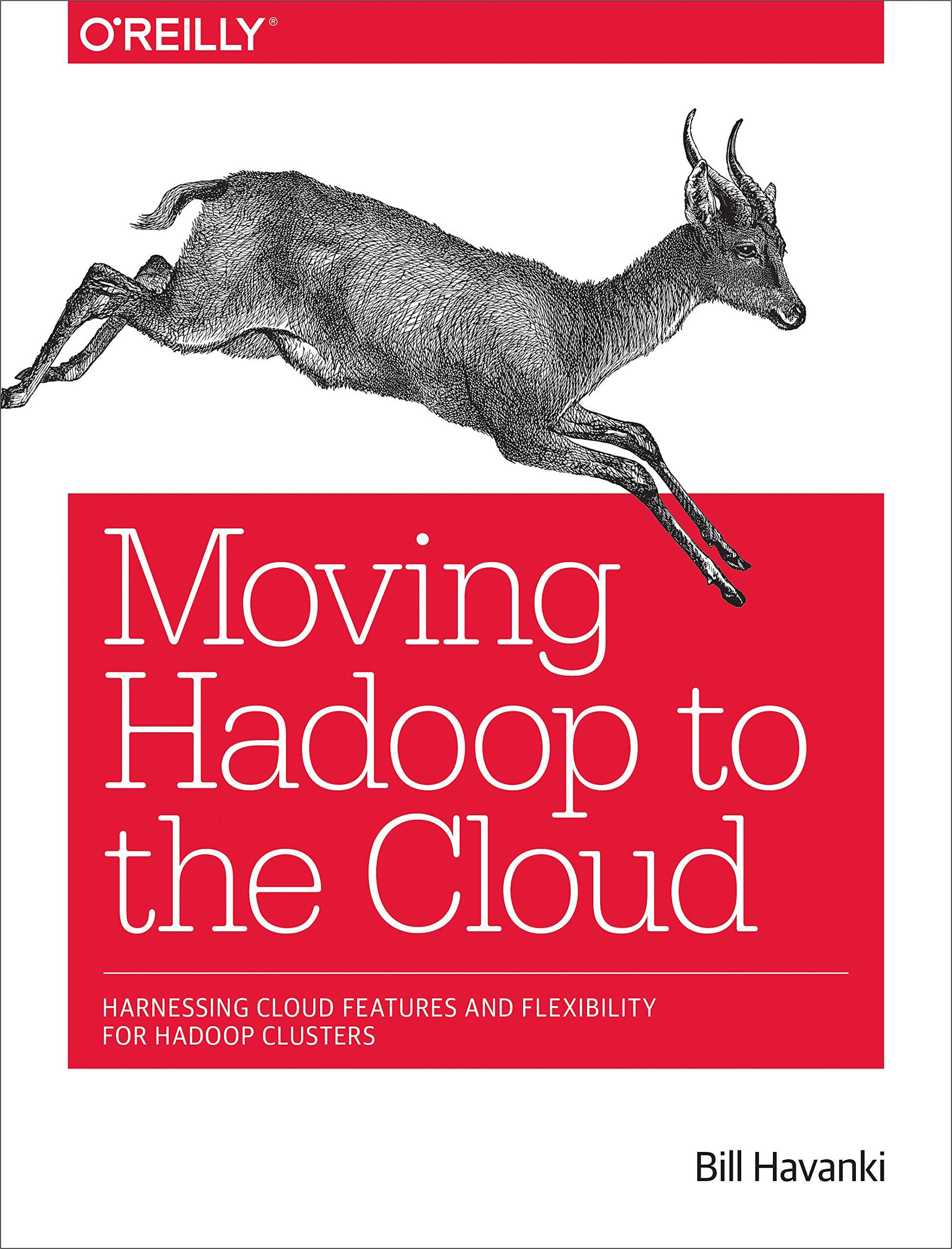 Moving Hadoop to the Cloud: Optimize Hadoop Clusters with Cloud Features & Flexibility | Big Data Processing & Analytics Solution