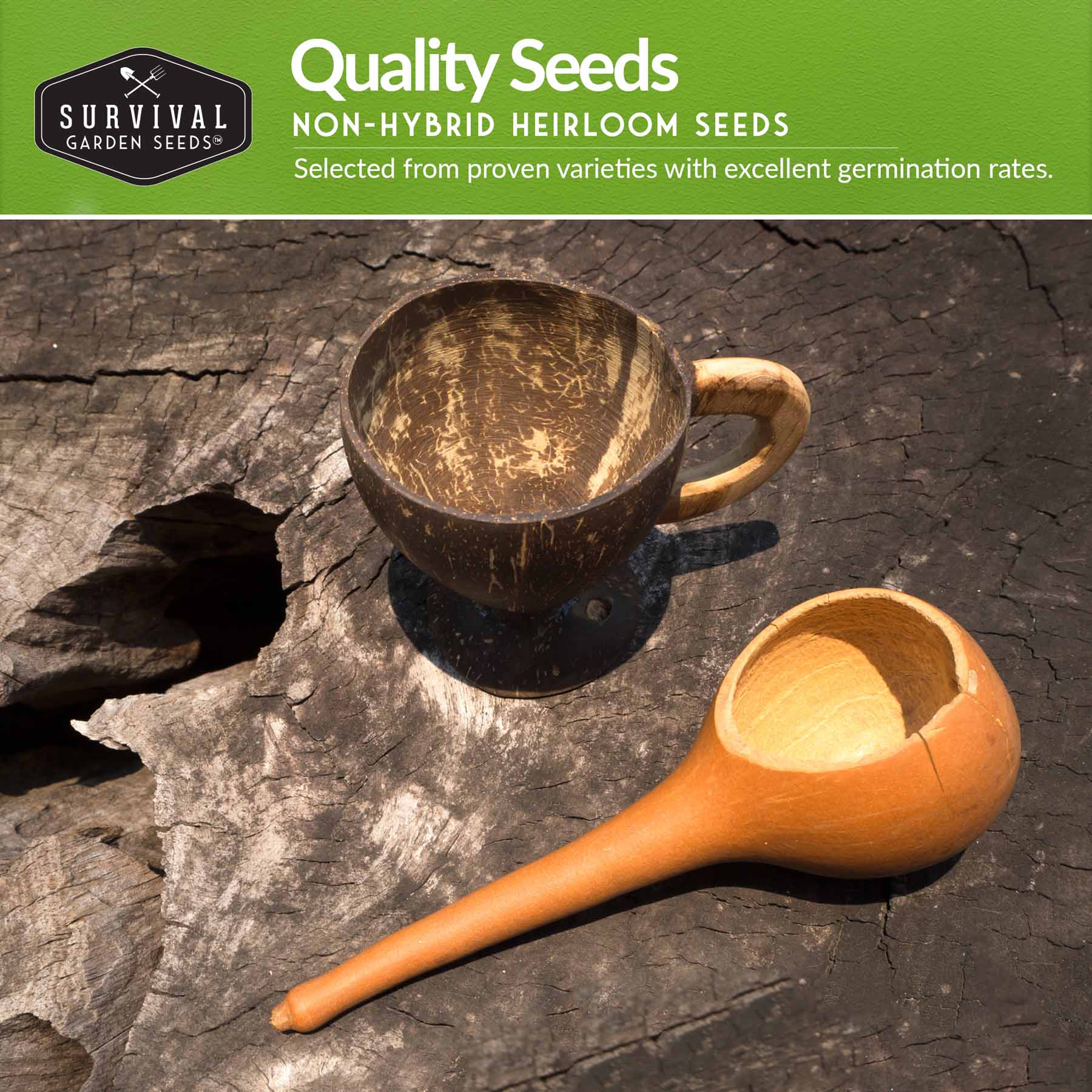 Premium Gourd Collection Seed Vault - Dipper Gourd & Luffa Seeds for Planting - Perfect for Home Gardening, DIY Crafts, and Organic Farming