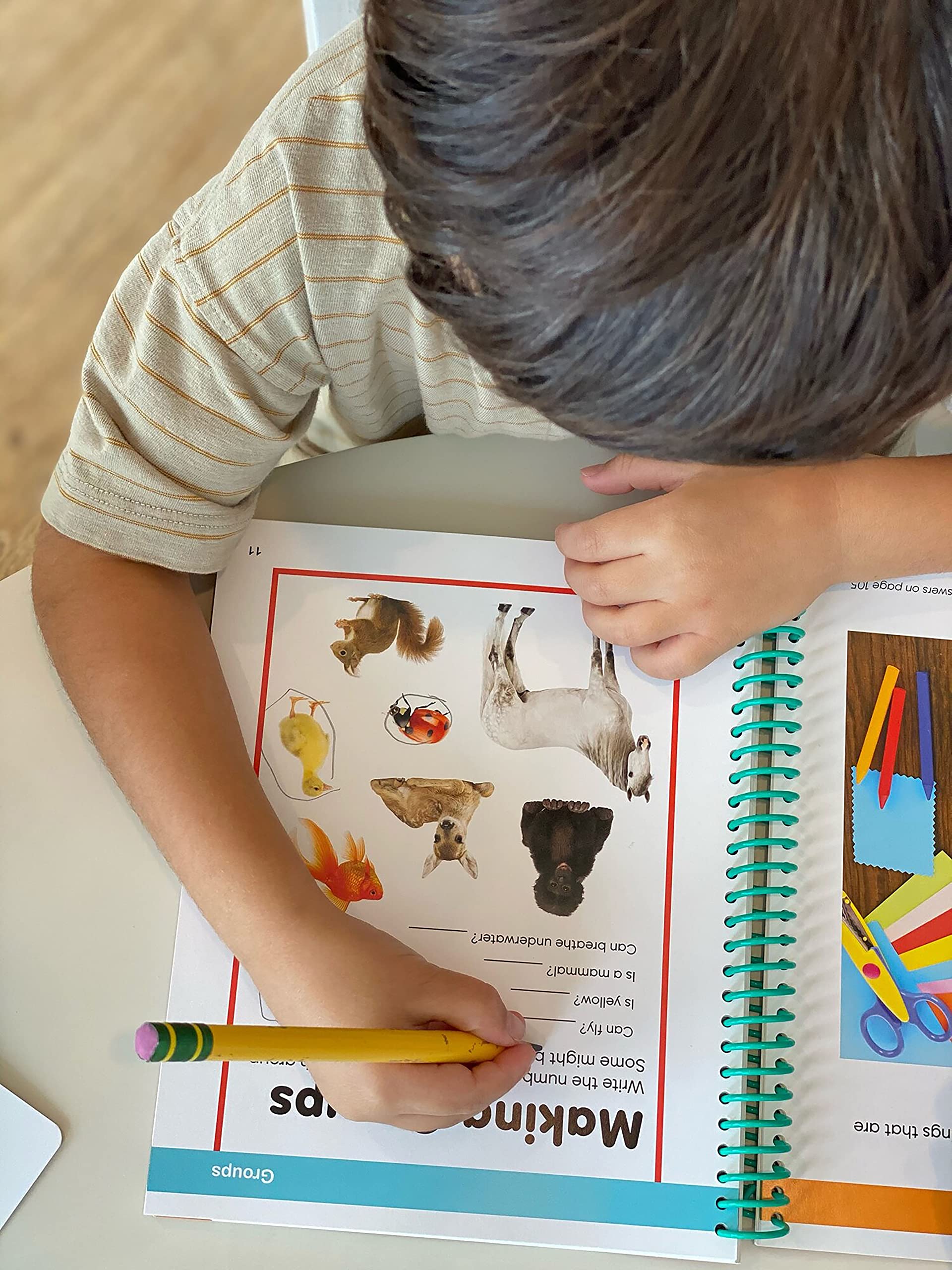 Brain Games STEM Preschool Workbook - Picture Puzzles for Growing Minds | Early Learning Activities for Kids Ages 3-5 | Perfect for Homeschool & Classroom Use