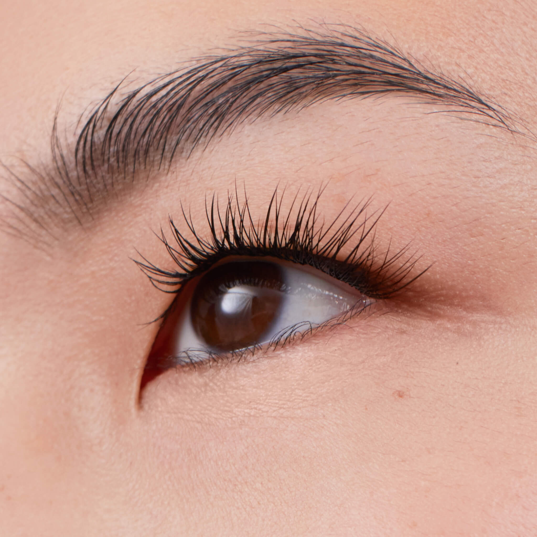 Plus+ Gossamer® Lash - Natural Looking False Eyelashes for Dramatic Volume & Length | Perfect for Weddings, Parties & Everyday Glam