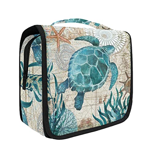 Sea Lives Turtle Coral