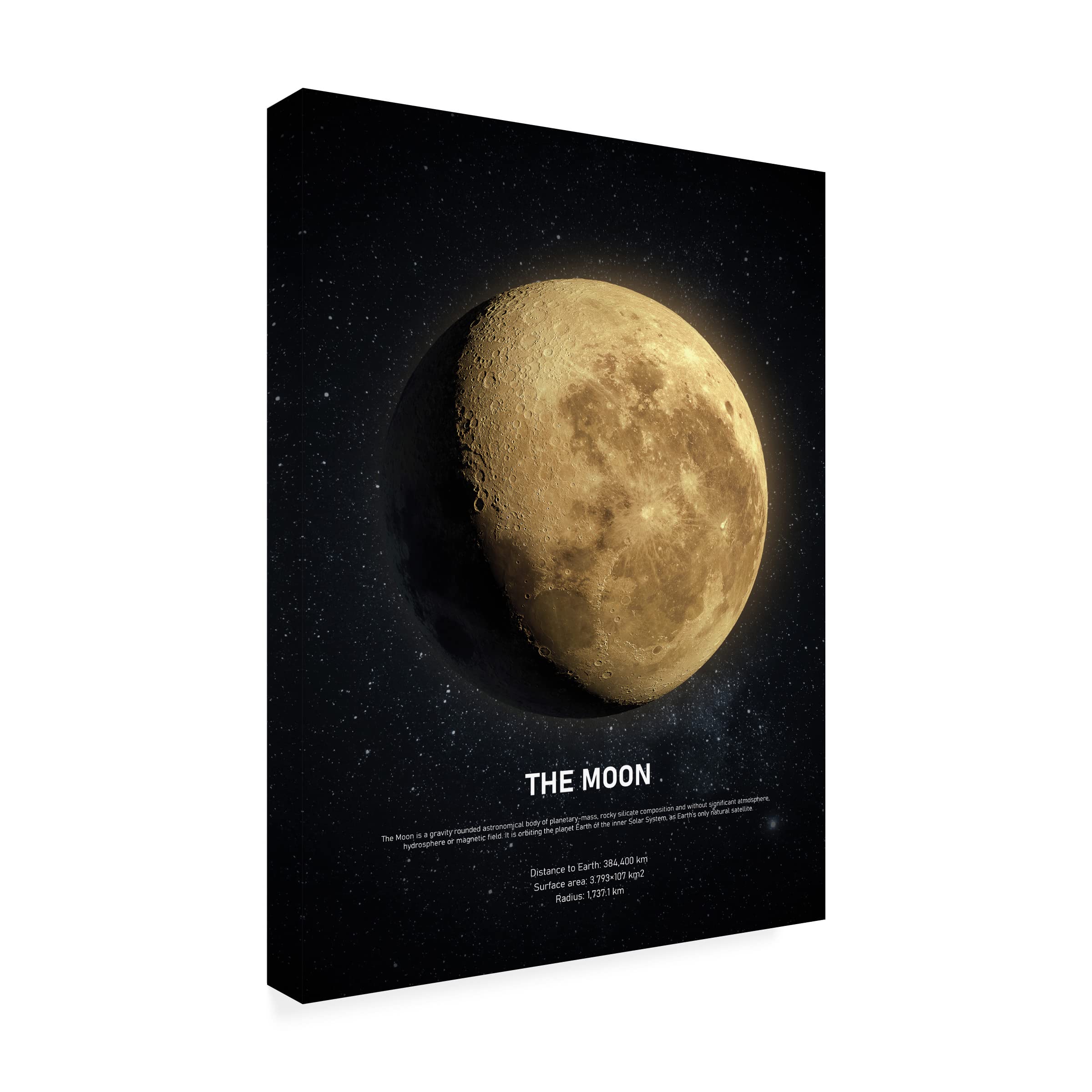 Trademark Fine Art 'The Moon' Canvas Wall Art Print by Design Fabrikken - Perfect for Living Room, Bedroom & Office Decor