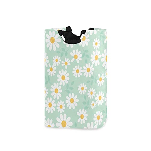 daisy flower field on mint green background