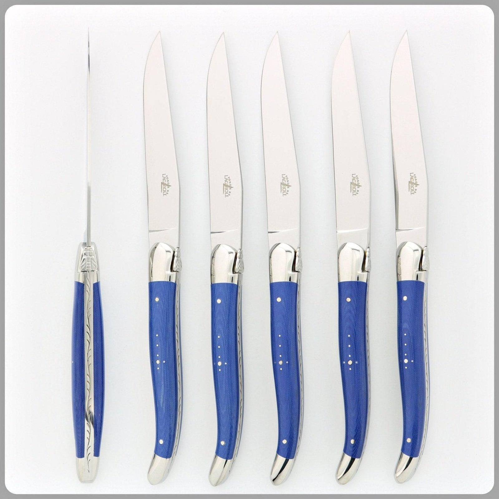 Premium 6-Piece Steak Knife Set - Ultra Sharp Stainless Steel Blades with Ergonomic Handles - Perfect for Steak Dinners, BBQ Parties & Fine Dining Experience (Blue Fabric Storage Case)
