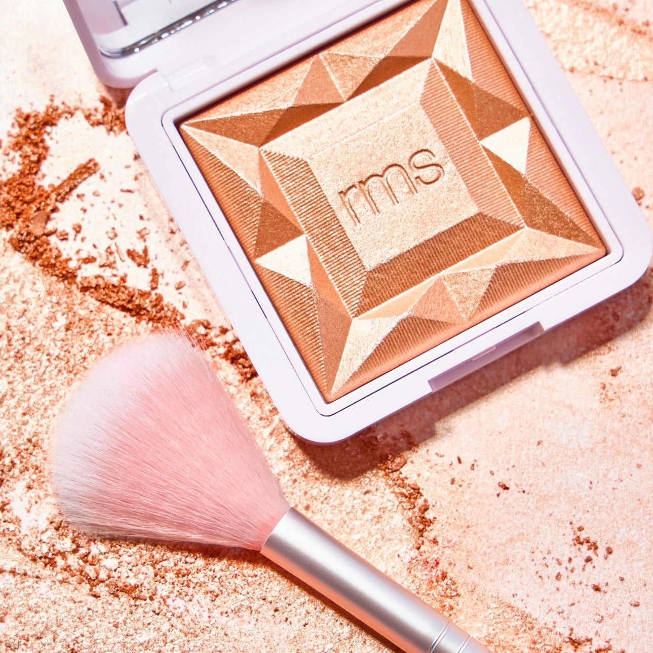 Skin2Skin Classic Fan Brush - Premium Makeup Brush for Blush, Highlighter & Powder - Perfect for Professional & Everyday Makeup Application