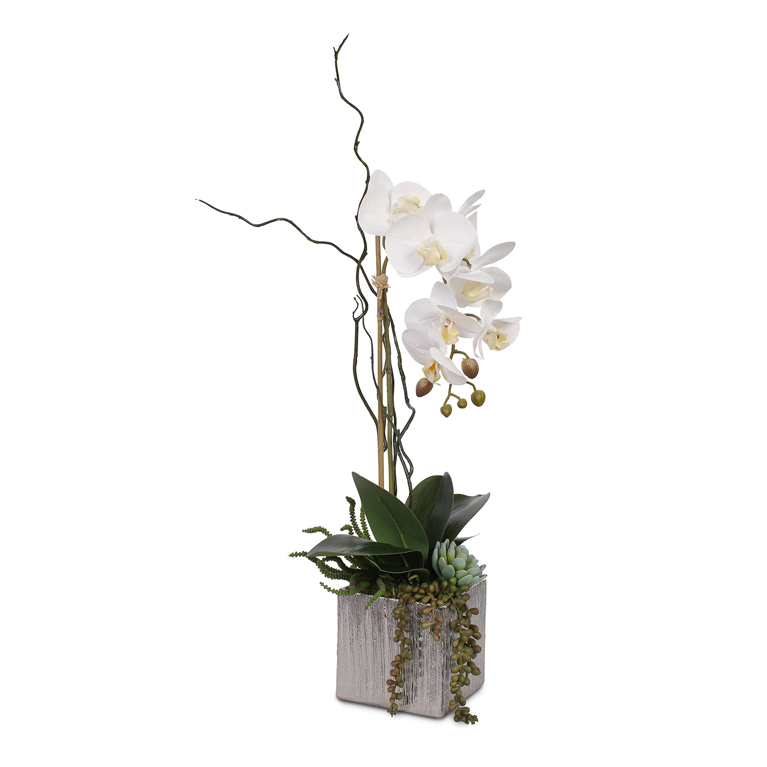 Real Touch White Phalaenopsis Orchid with Succulents in Silver Ceramic Pot - Elegant Home & Office Decor for Weddings, Centerpieces, and Gift Giving