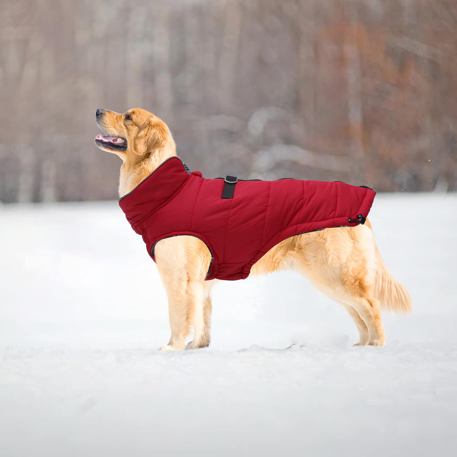 Geyecete Dog Winter Warm Coat - Windproof & Snowproof Pet Jacket for Small, Medium, Large Dogs - Red XXL - Perfect for Outdoor Adventures & Cold Weather Protection