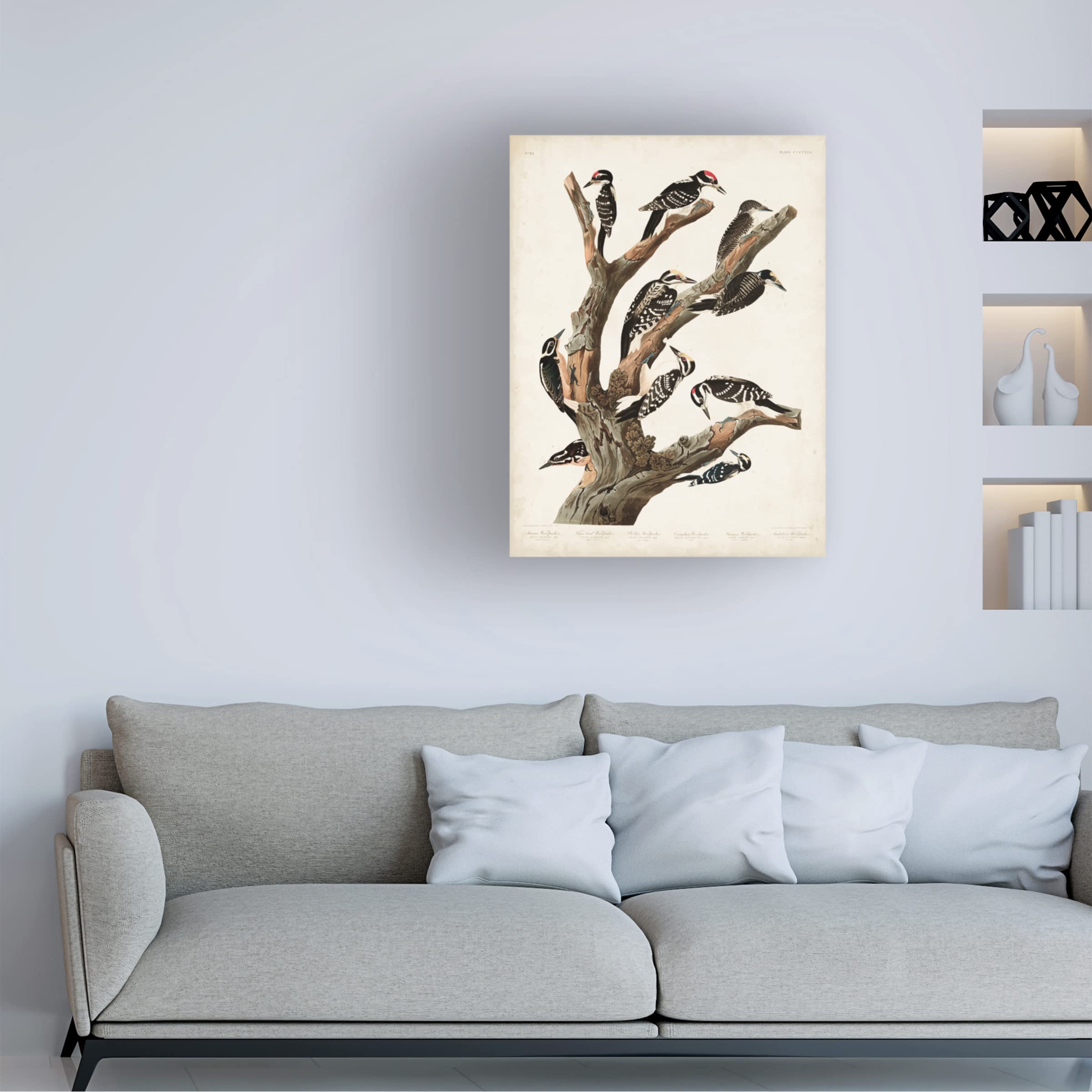 Trademark Fine Art 'Marias Woodpecker' Canvas Print by John James Audubon - 24x32 Inch Nature Bird Wall Art for Living Room, Office & Home Decor