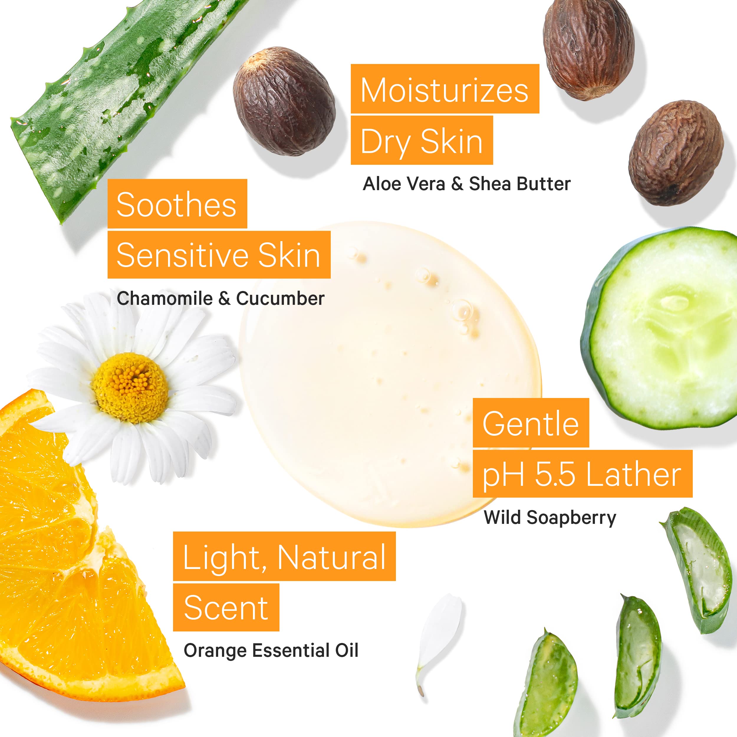 Tree to Tub Citrus Body Wash for Dry & Sensitive Skin - pH Balanced Moisturizing Shower Gel, Sulfate-Free Hydrating Body Wash for Women & Men - Perfect for Daily Shower & Post-Workout Refreshment