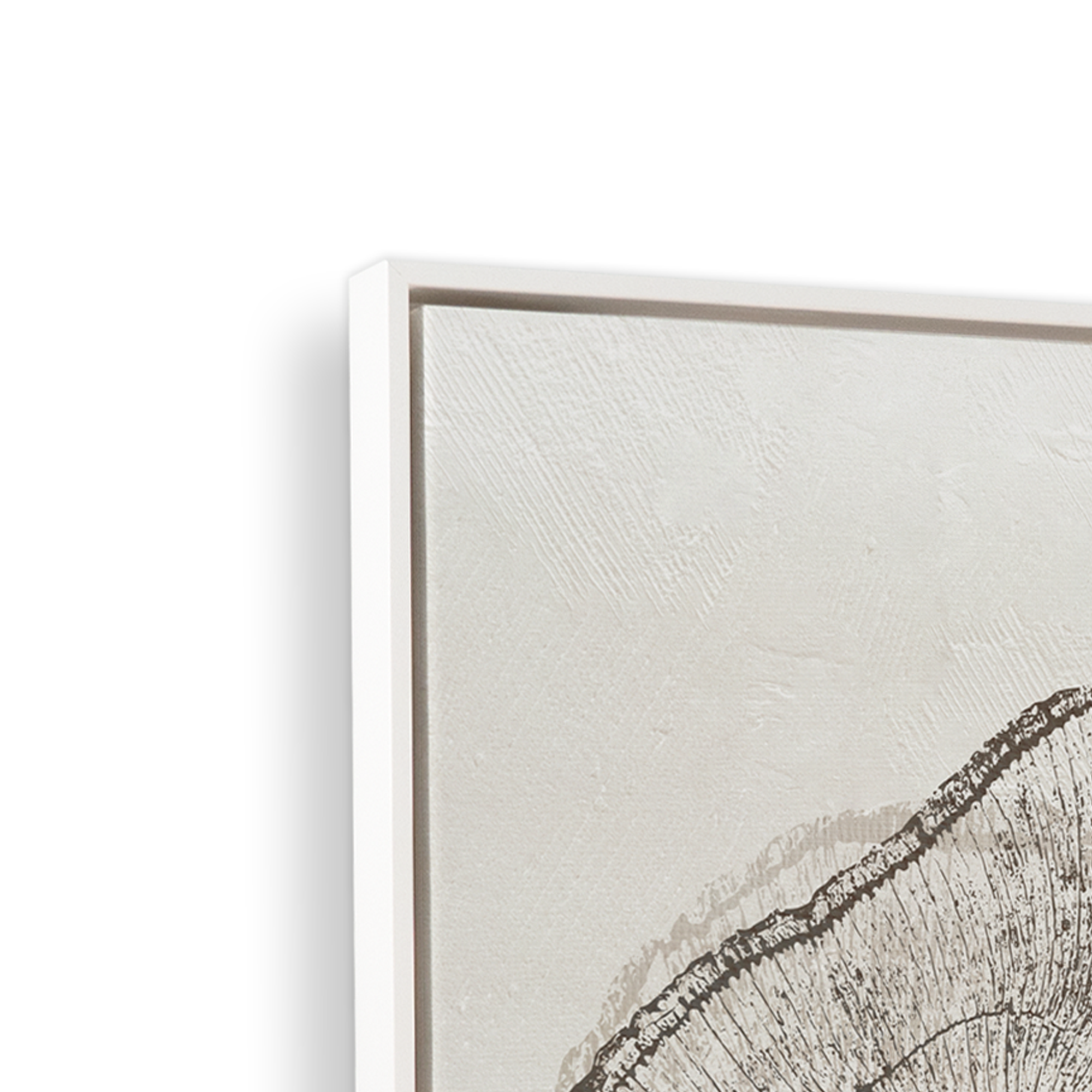 Beige Tree Ring Print Canvas Wall Art - Nature Inspired Home Decor for Living Room, Bedroom & Office