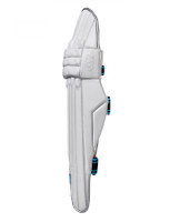 GM Diamond 808 Cricket Batting Pads - Professional Grade Leg Guards for Cricket Players - Perfect for Practice, Matches & Training Sessions