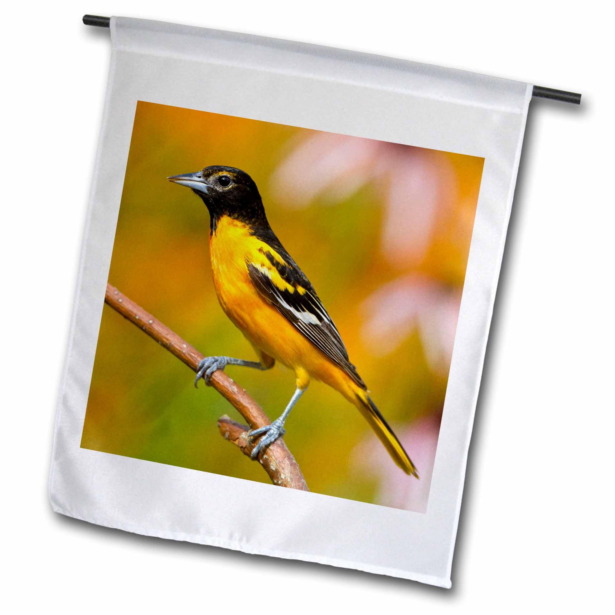 3dRose Baltimore Oriole Male in Flower Garden - 12x18 Inch Decorative Garden Flag for Outdoor Yard Decor, Perfect for Marion Illinois USA Landscaping & Spring Garden Displays