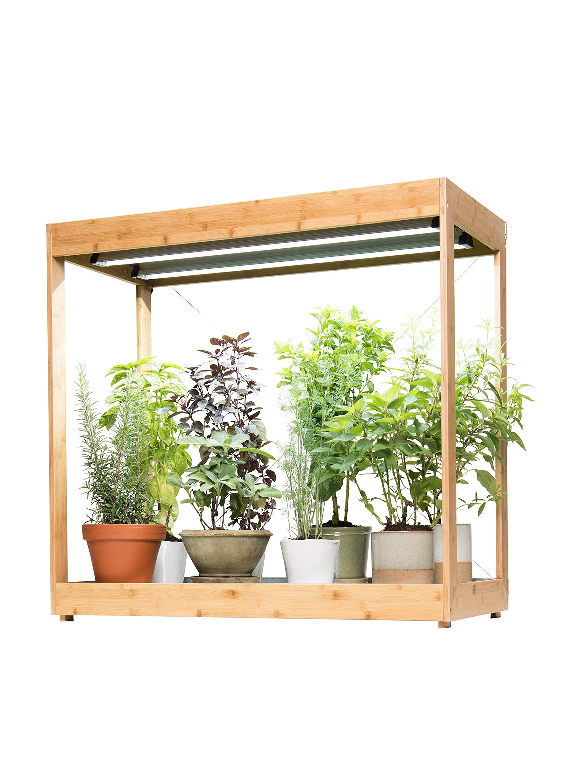Medium Bamboo LED Grow Light Stand for Indoor Plants - Energy Efficient Grow Light for Herbs, Succulents & Seedlings | Perfect for Home Gardening, Hydroponics & Indoor Greenhouses